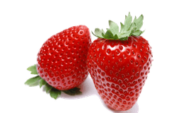 Қулупнай (асосий)